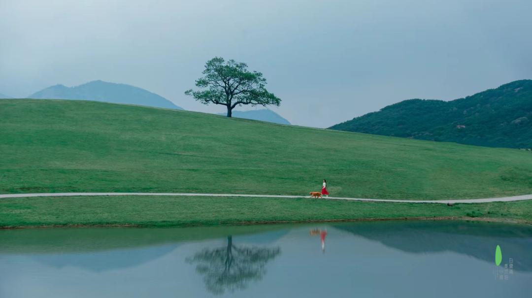 山东有海有雪有山有平原,山东有没有广阔草原