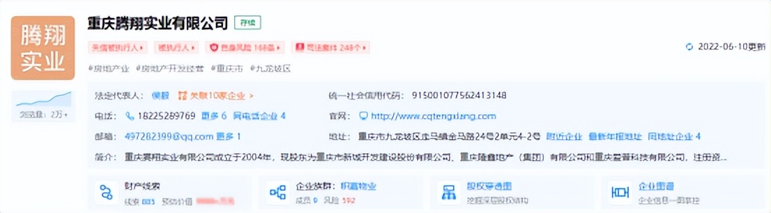 重庆房地产开发商破产,重庆某开发商被追债