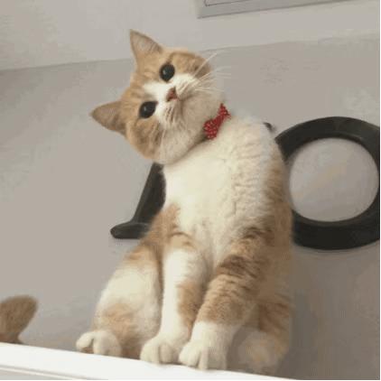 飞卢作者是怎么做到日更三万的,飞卢大神作家一个月稿费