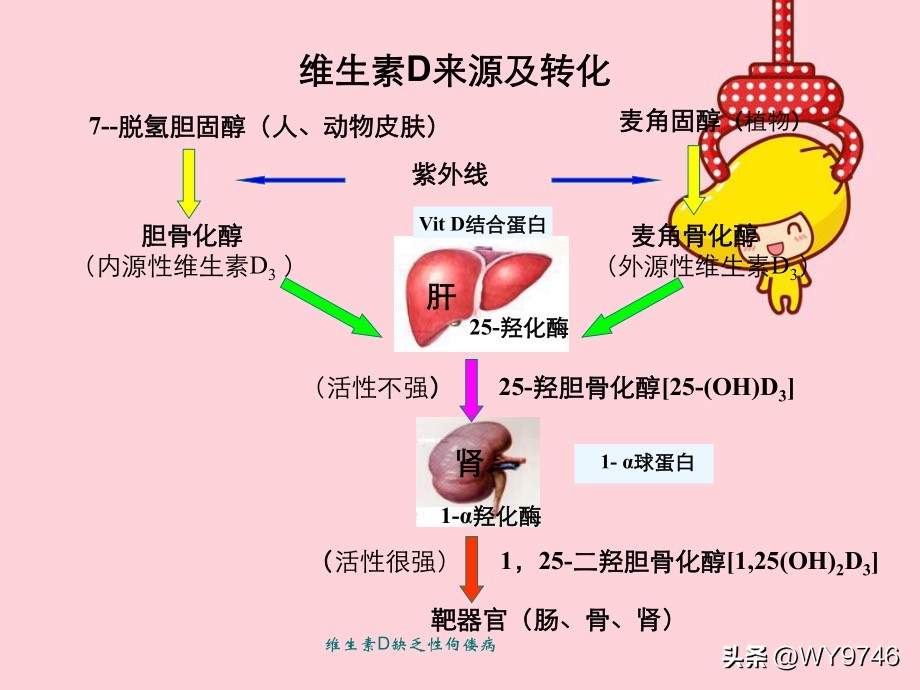 认识营养缺乏,了解维生素a缺乏症