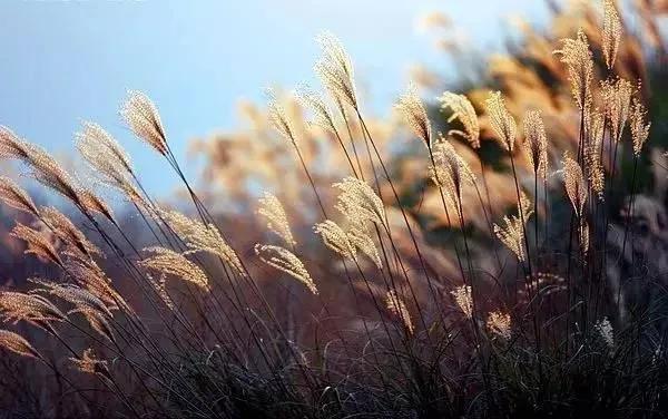 孩子吞了一块香皂,孩子误吞一块肥皂