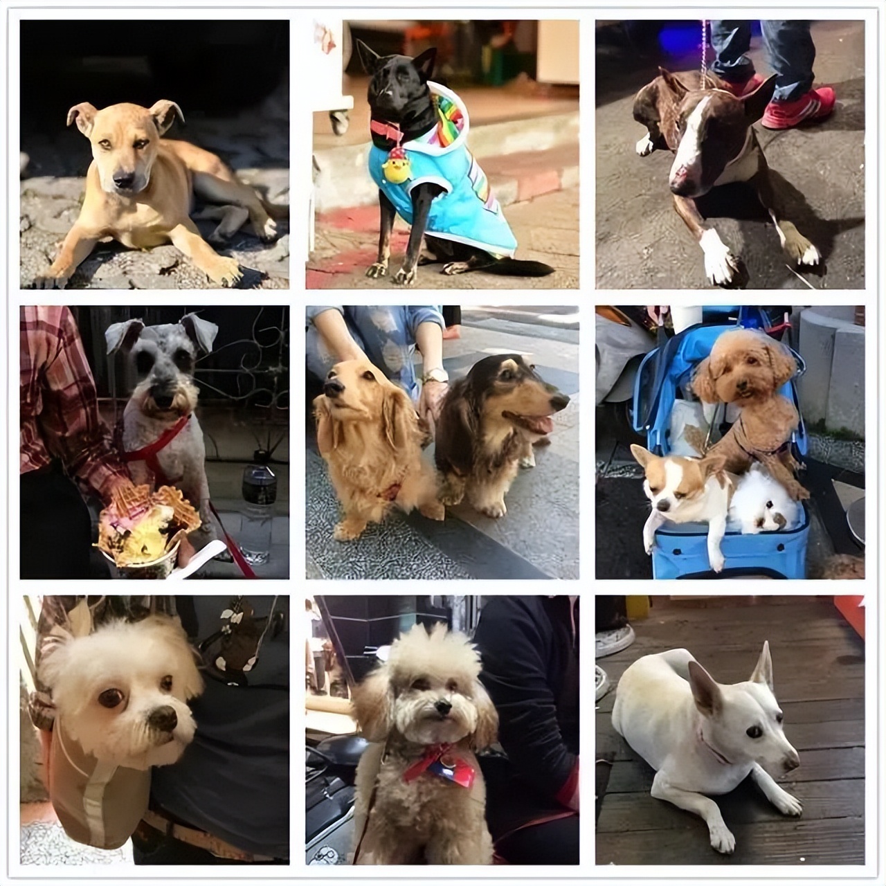 我的旅游日记2015游台湾之二,台湾游览祖国大好河山