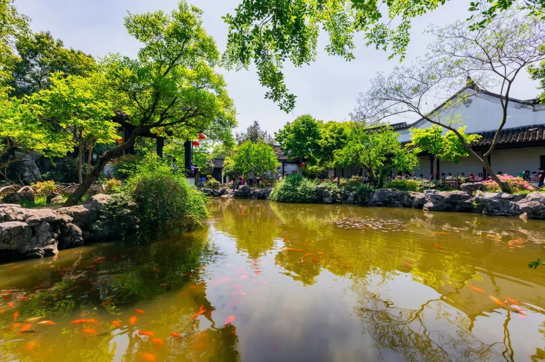 苏州一个新的人间天堂,东方威尼斯苏州视频