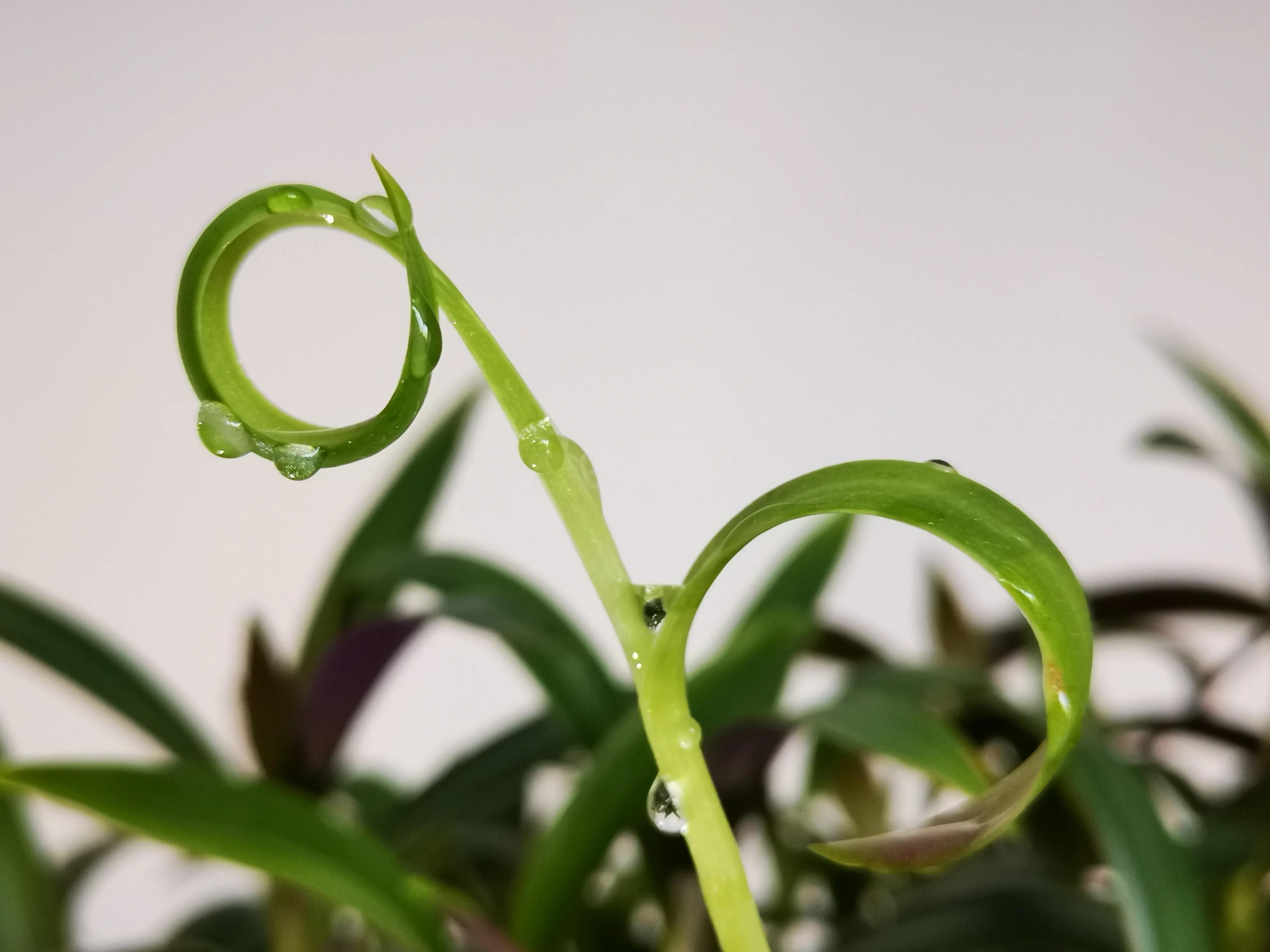 精华美文：学生写学生！小作者与西瓜小兄弟的故事很精彩