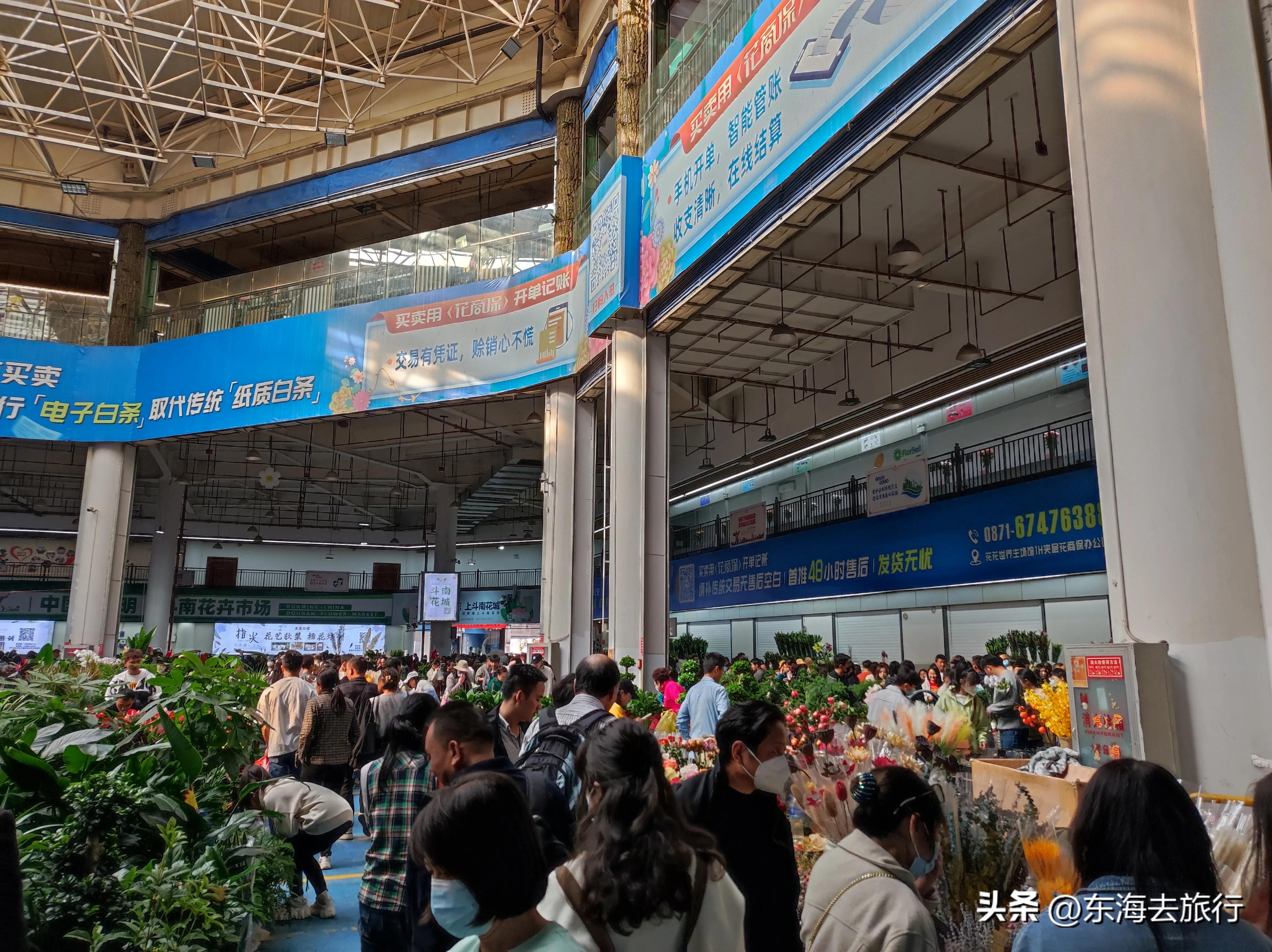 去云南昆明必去景点推荐理由,云南昆明旅游必去的地方推荐