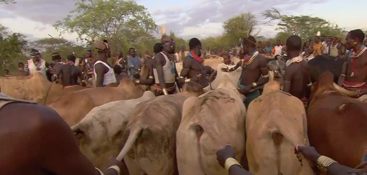 非洲原始部落的真实生活：女人想找对象，就要主动让男人鞭打