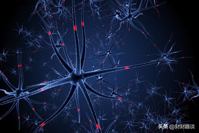 解密大脑的奥秘,深度解析大脑思维