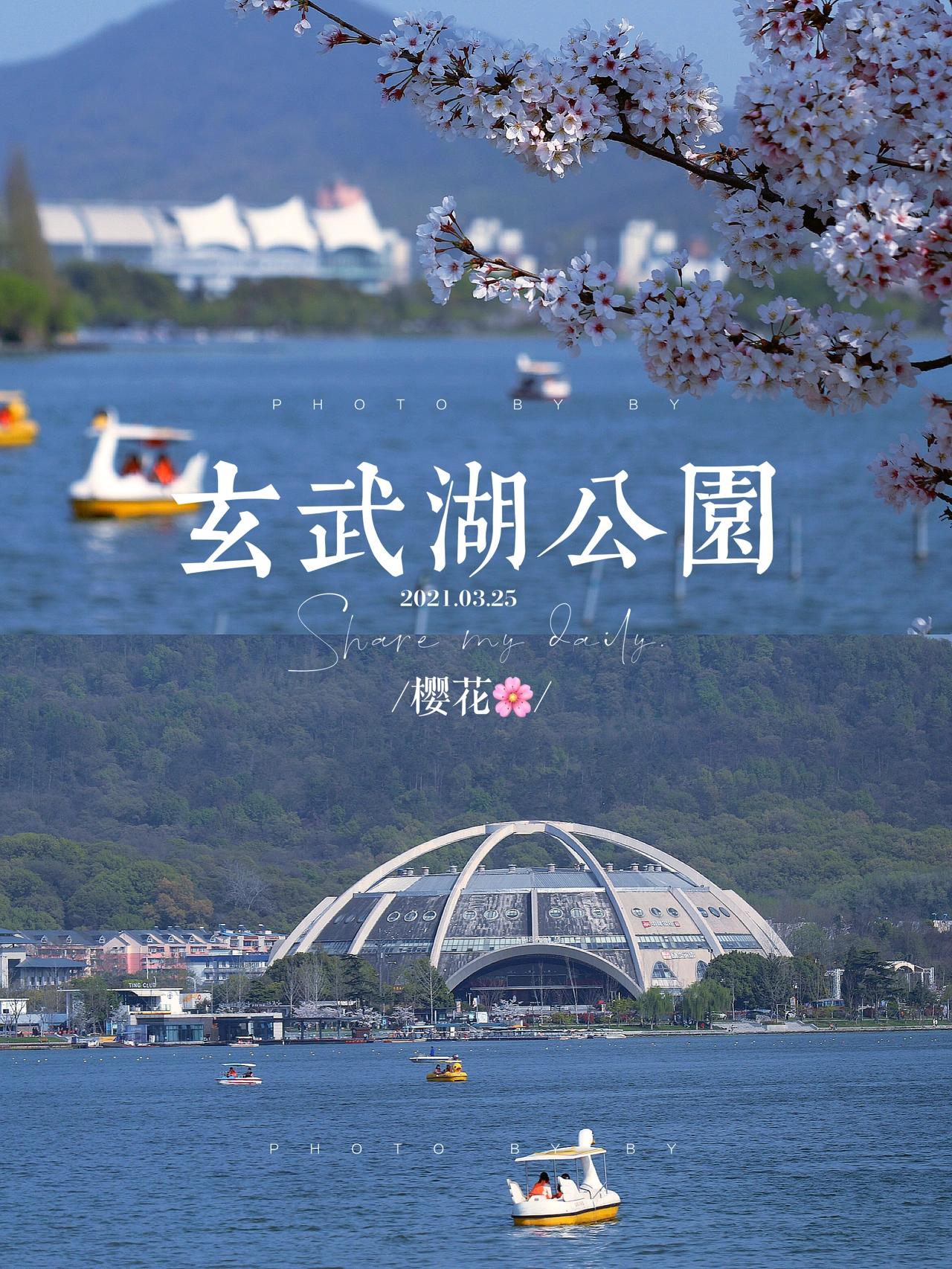 南京值得去的旅游景点推荐,南京必去玩的十大旅游景点