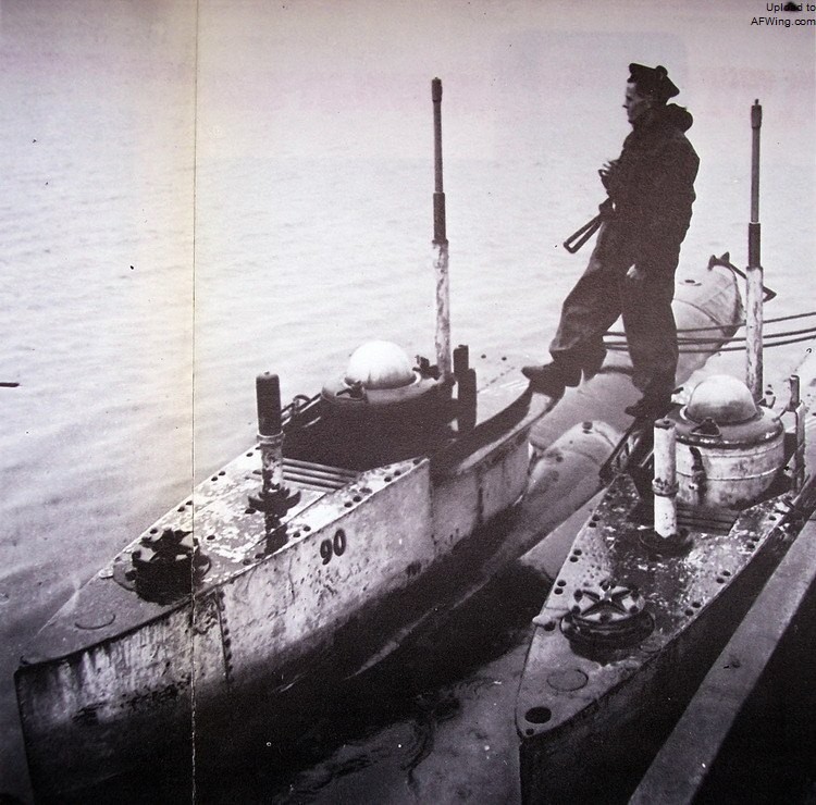 德国海军王牌潜艇,海豹的演化史