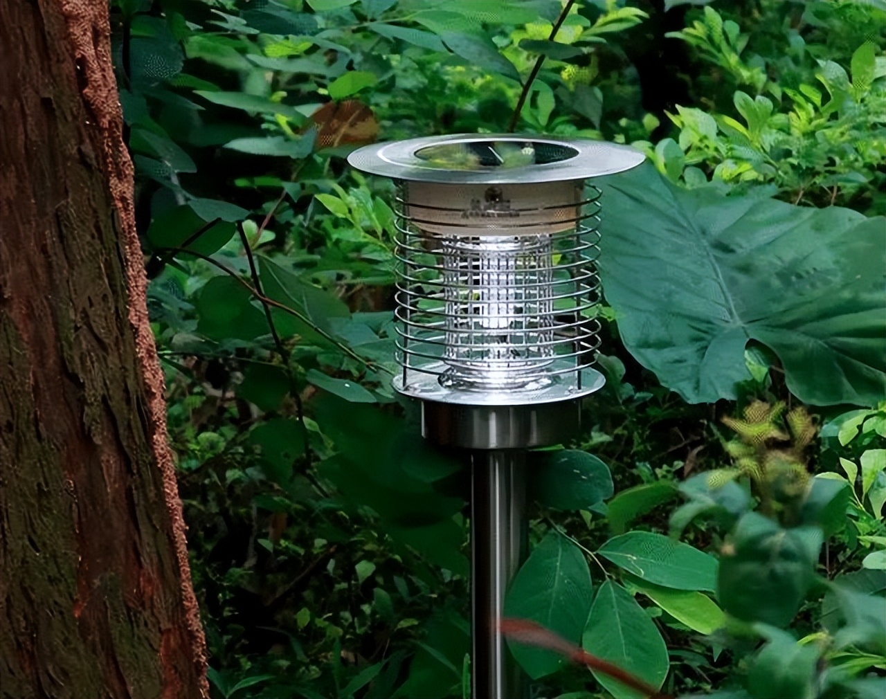 最危险边防区7条军犬,中国最惨烈的军犬