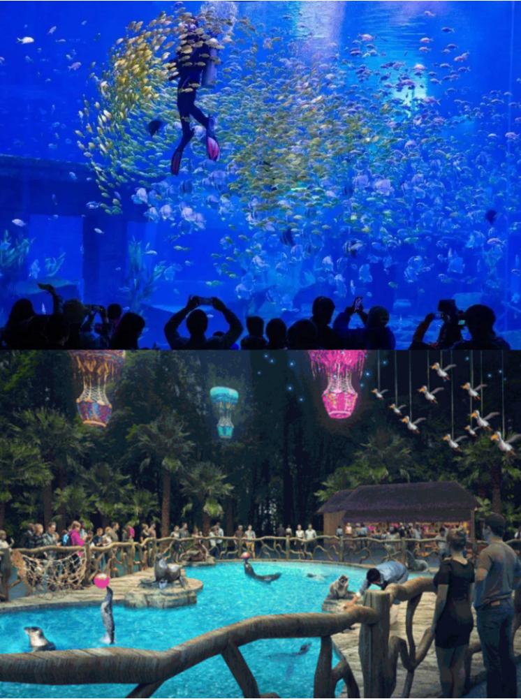 昆明六一出行攻略,昆明六一儿童节游玩推荐