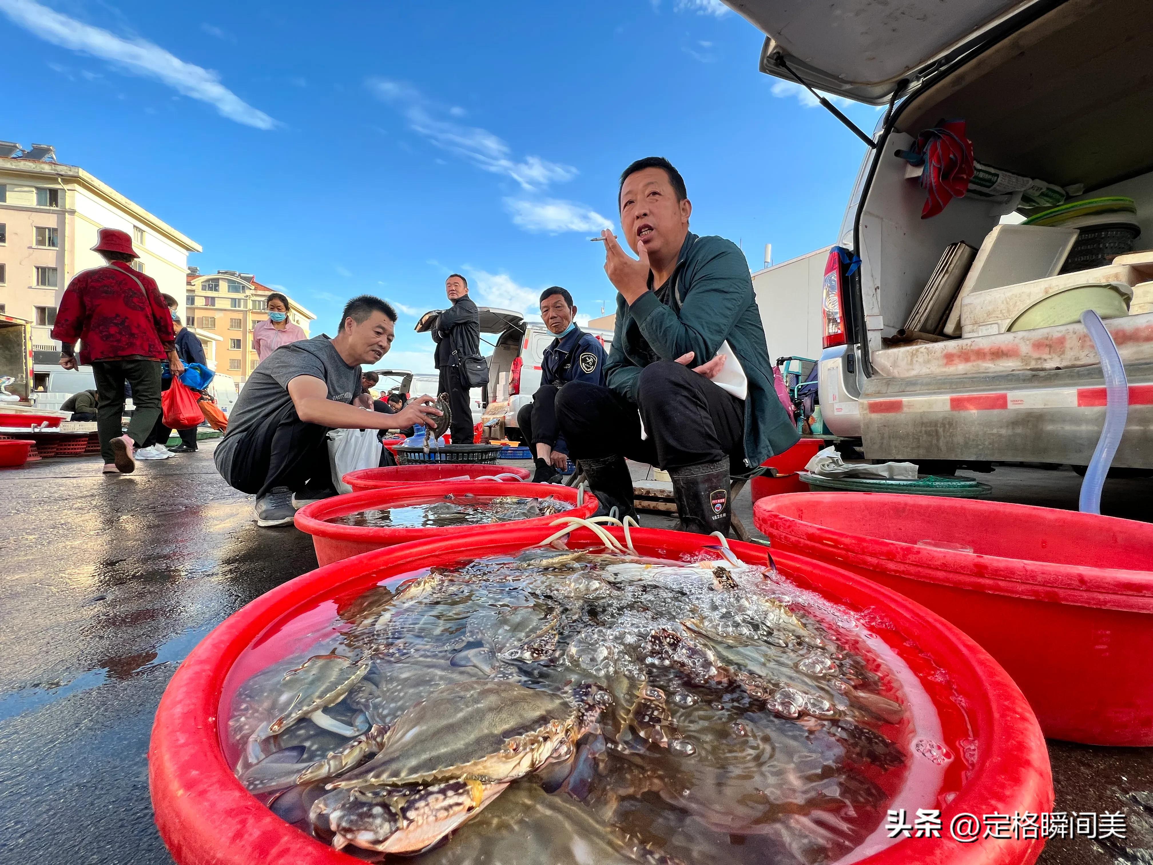 梭子蟹多少钱一斤黄岛,抢购梭子蟹30元一斤