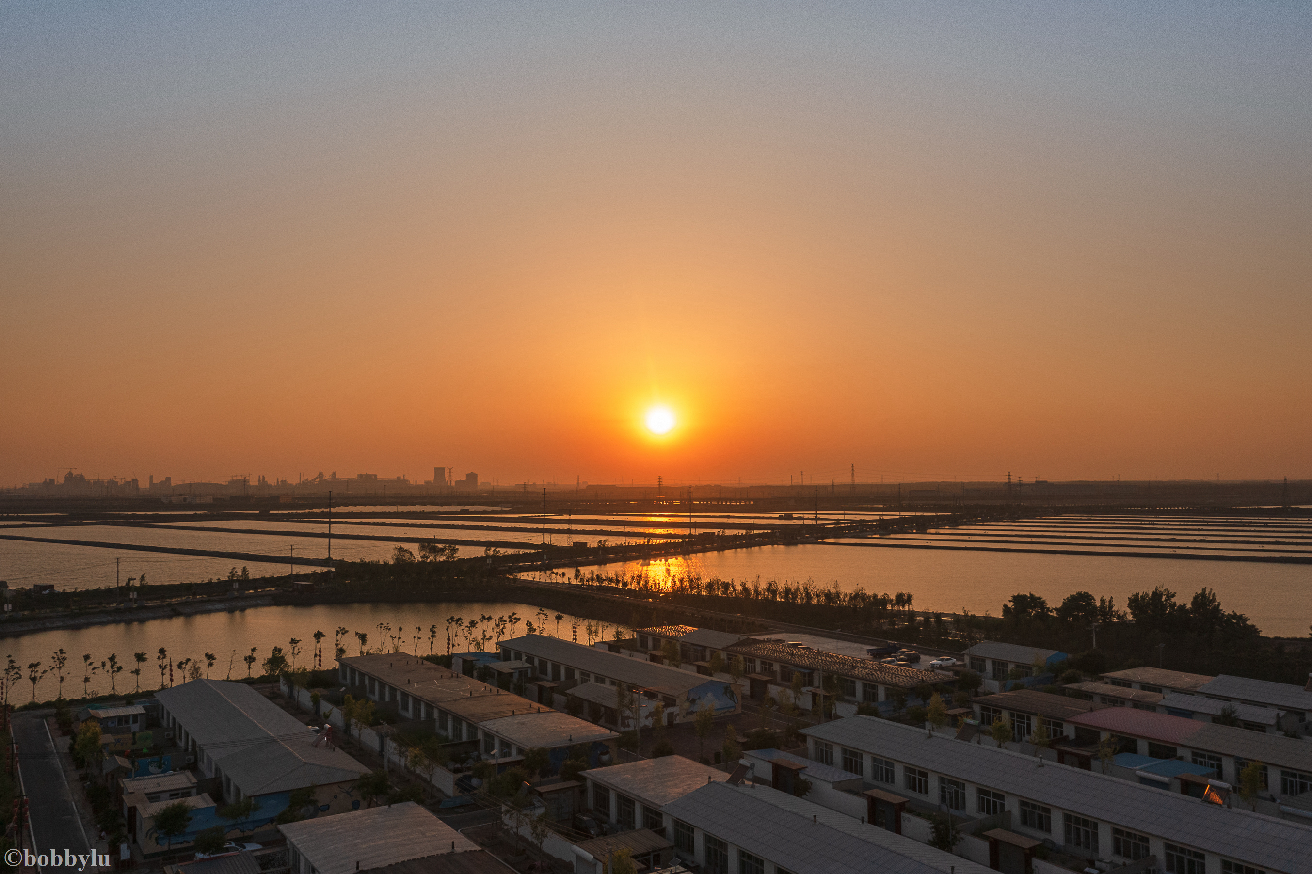 美味河豚有多金贵？养殖就有多娇贵！十里海河豚小镇探秘美食之源