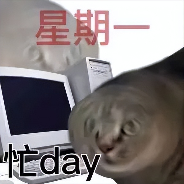 你们不用上班吗表情包猫猫图片,周一到周日的表情包猫猫