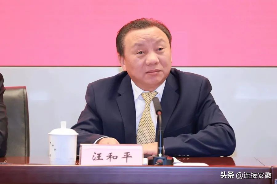 安徽十年企业投资,安徽民生领域成就