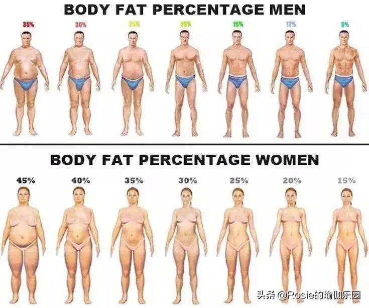 怎么练出腿又瘦屁股翘,男生臀为什么这么翘