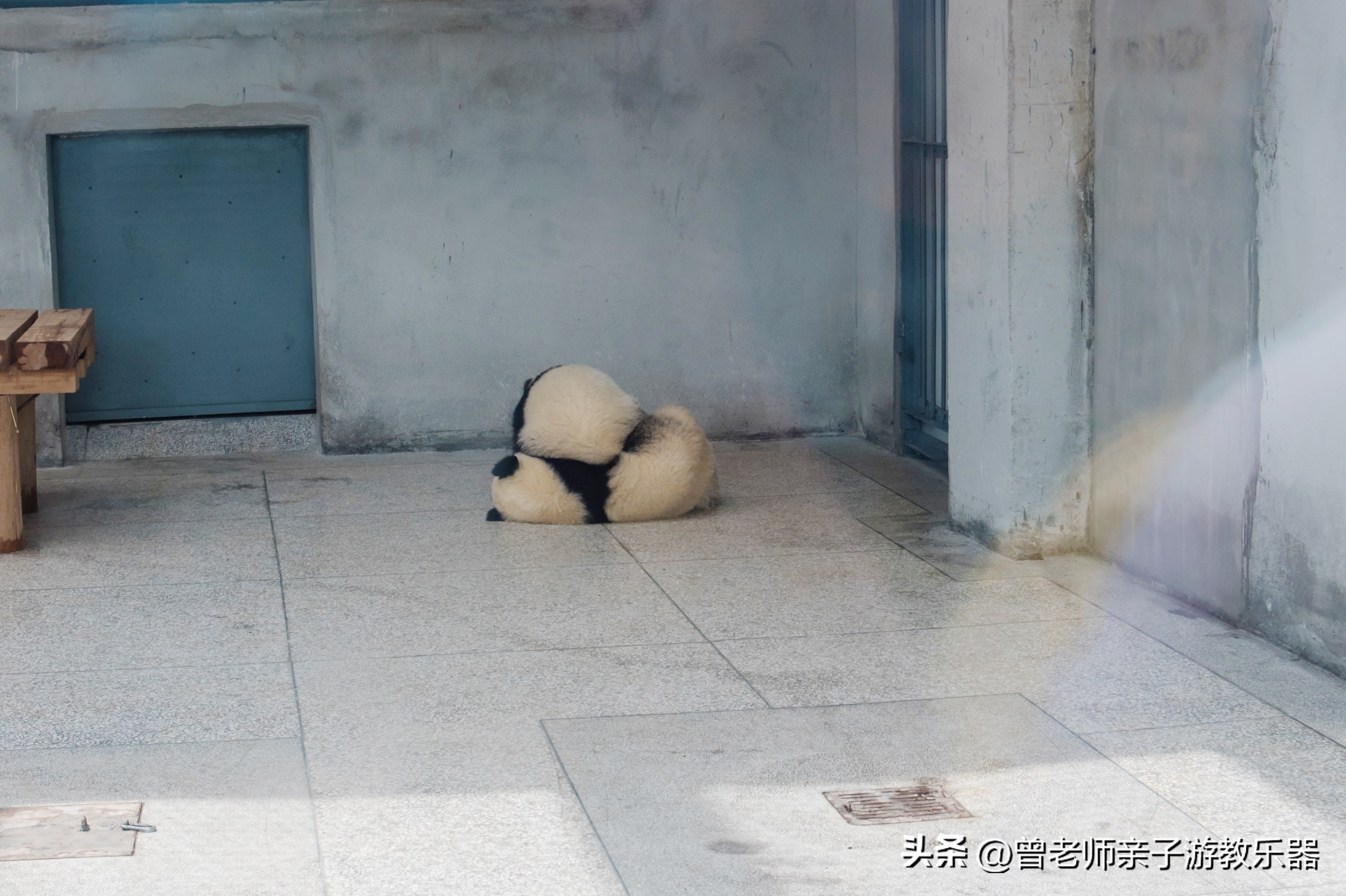 2023西安亲子游景区大全，30多个遛娃宝地，很多都免费