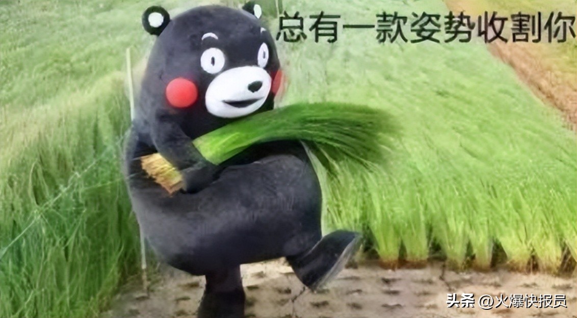 谨防商家割韭菜,保卫自己的钱包