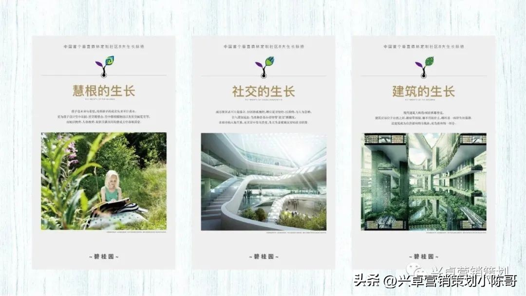 鎴夸骇浼佷笟鍝佺墝绛栧垝璁捐鎺ㄥ箍,鍦颁骇钀ラ攢缃戠粶鎺ㄥ箍鏂规