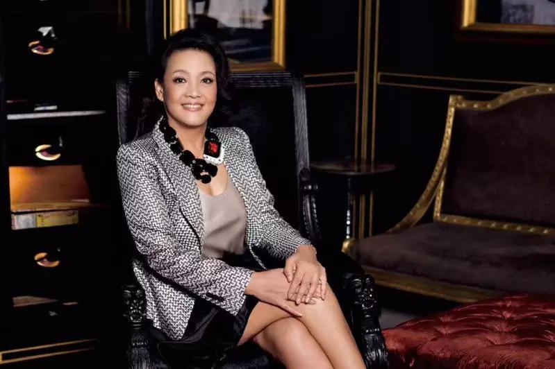 张兰是女强人吗,女强人张兰简介