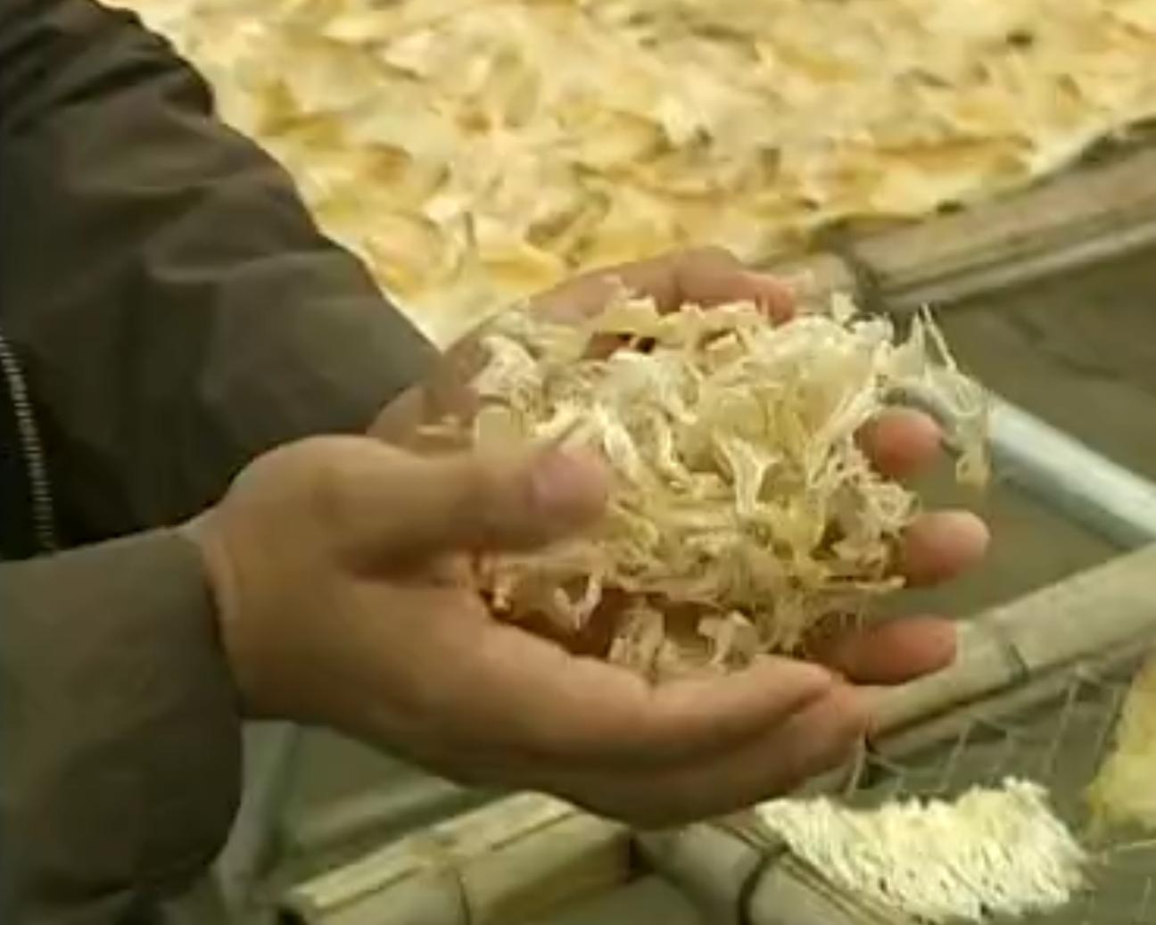 中国“鲨鱼村”的聪明商人：加工迷你“小鲨鱼”，年入3000万