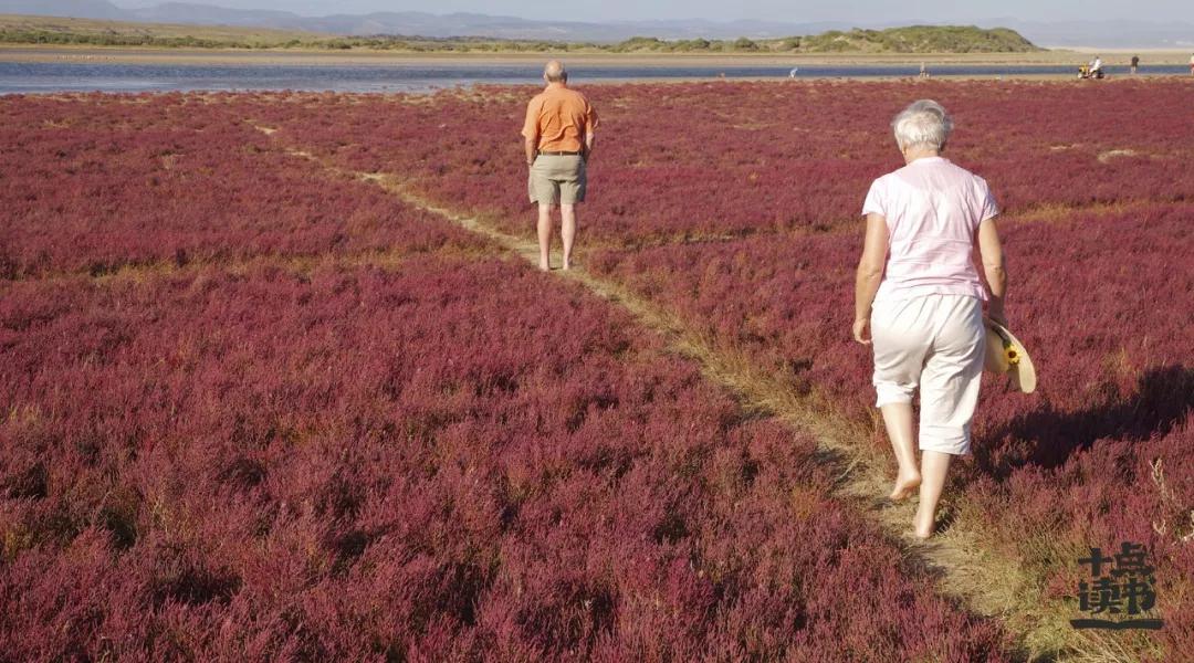 “我打算跟男友同住了”,这位爸爸的回答刷爆全网