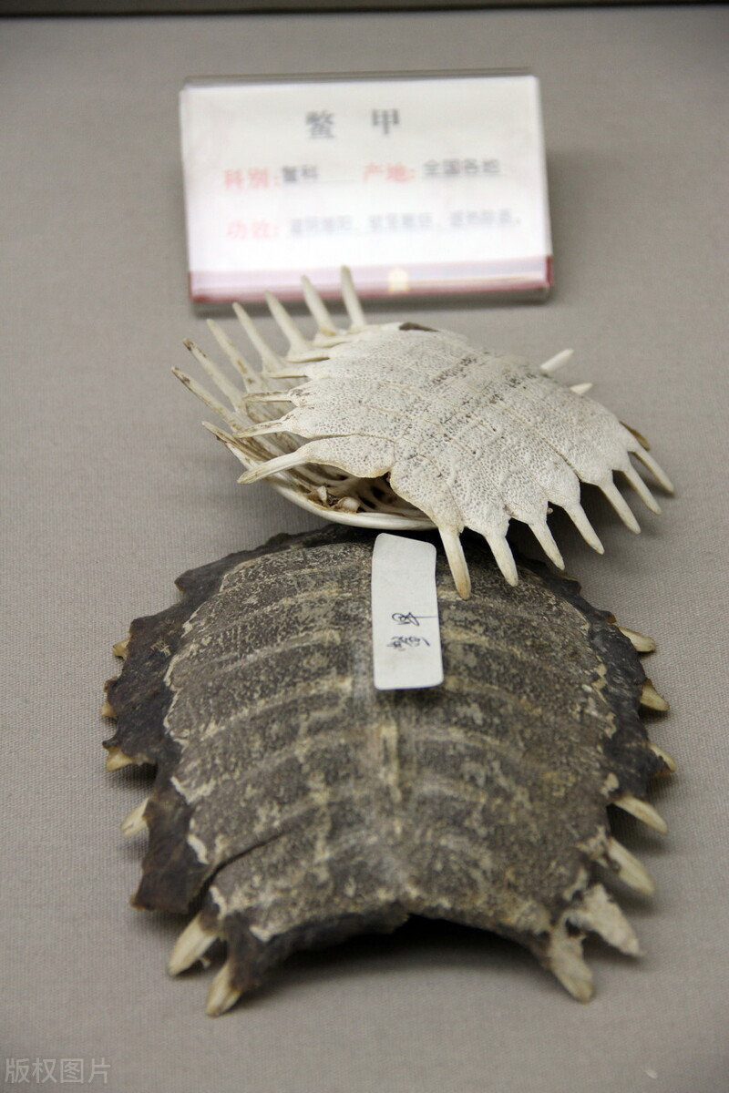 中兽药药方精解,兽药解析