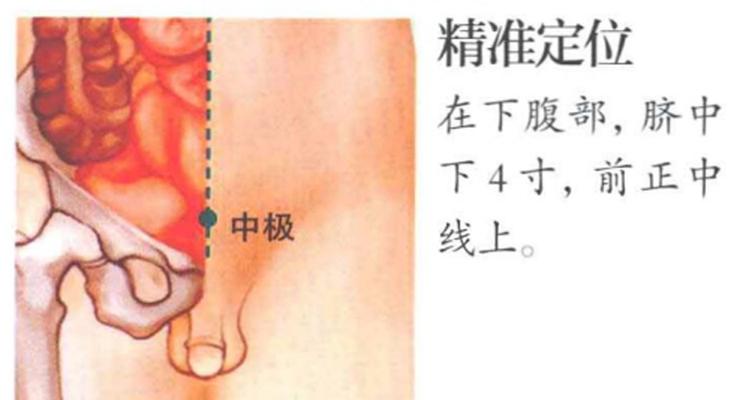 中极穴—“男科女科病”常用穴