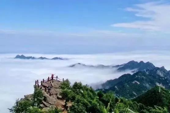 虎报恩全集视频,属虎报恩