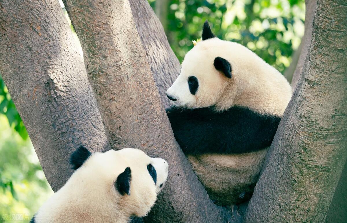 成都小孩游玩十大景点,成都彭州十大旅游景点