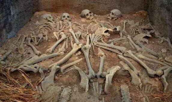 明朝皇后要殉葬吗,明朝皇后没有子嗣要殉葬吗