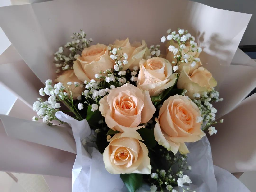 听听审计人的“盛夏果实”