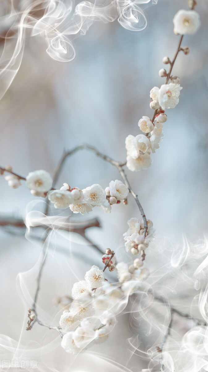十二首诗词中的“佳人”，梅、月、荷、山，“风景四佳人”