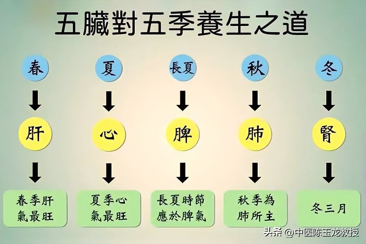 中医才知道的补阳老方暖身驱寒,道家补阳第一秘方虚寒体质的福音