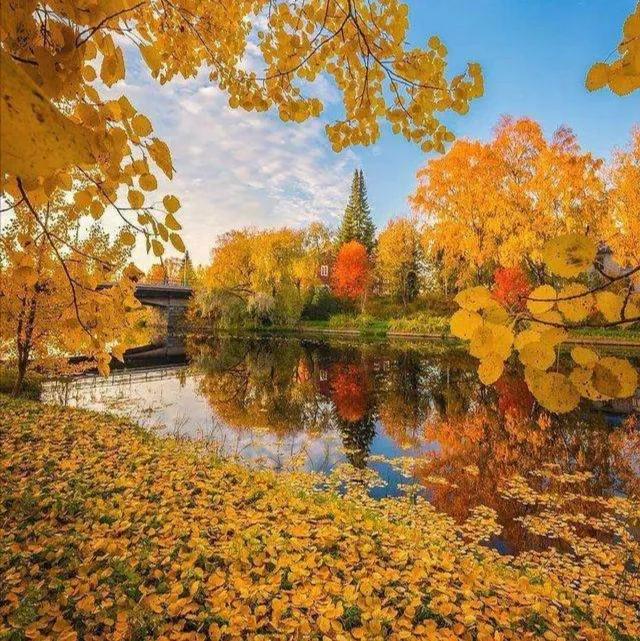 自由诗意：对《五排·晚秋感吟（平水韵/一东）》的注引解释