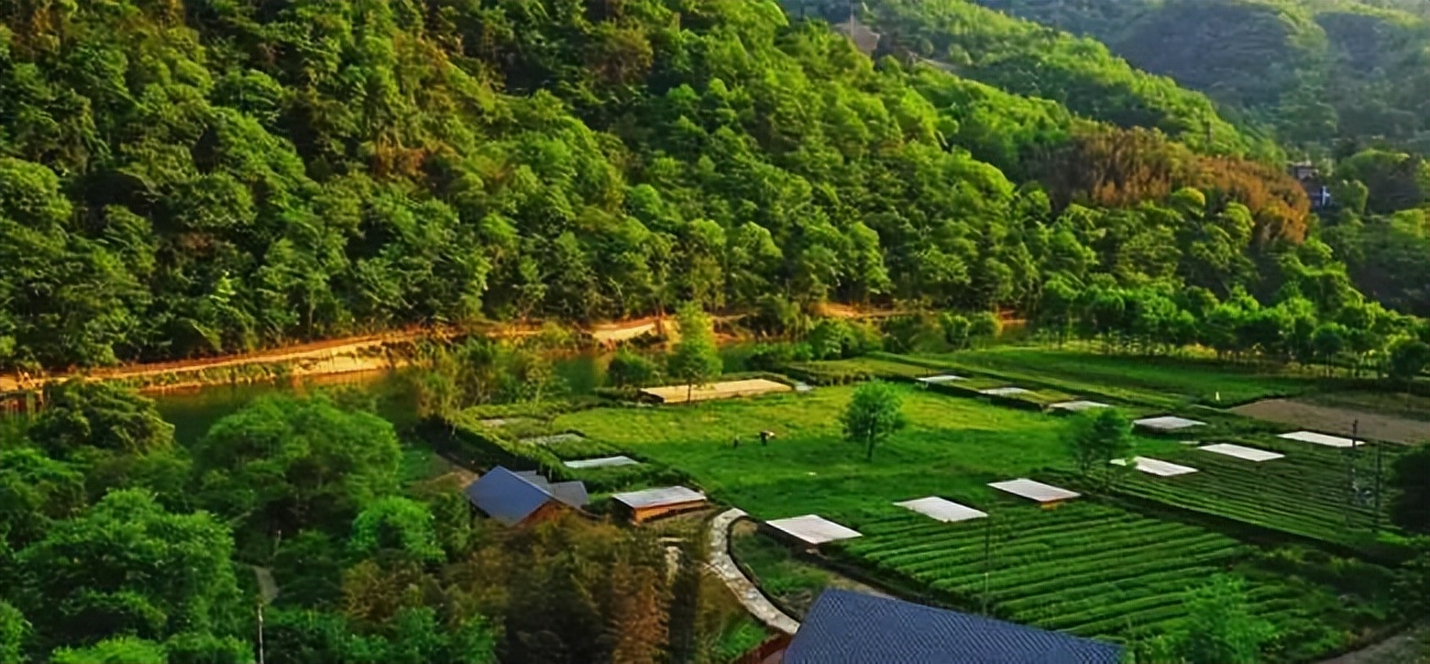 氧居田园山水康县，一个你值得去体验的地方！