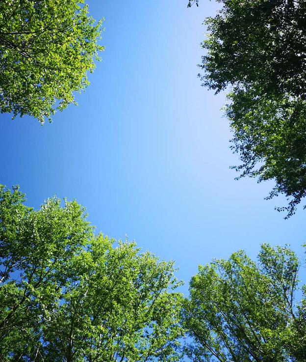 我的199730集,我的1997小说大结局