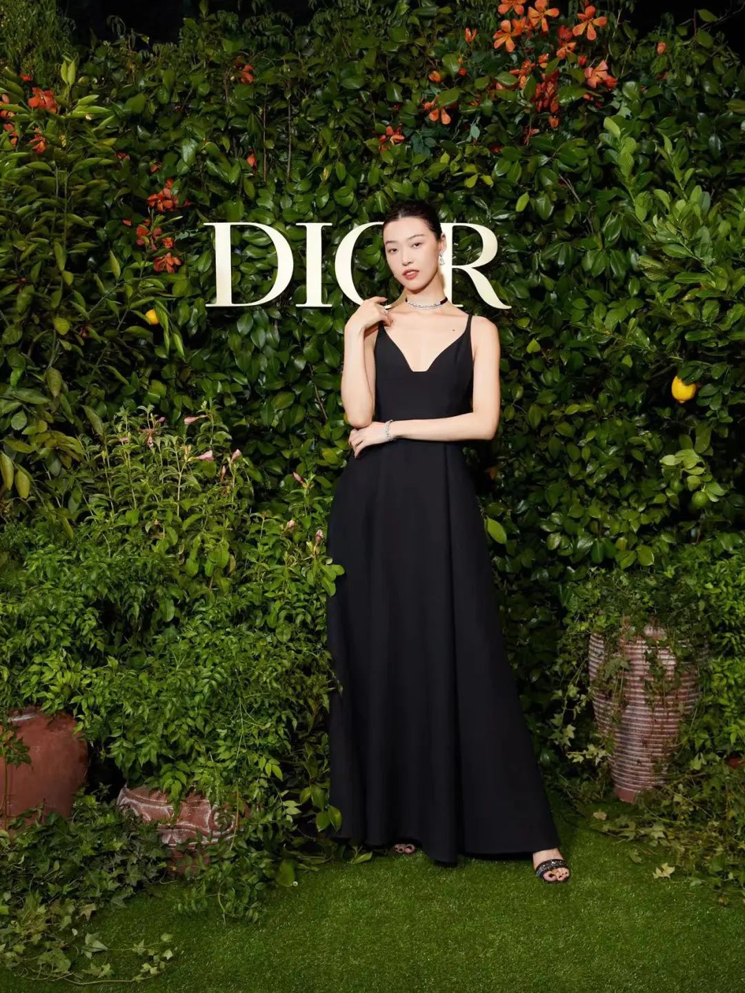 大品牌pk,各大品牌大pk