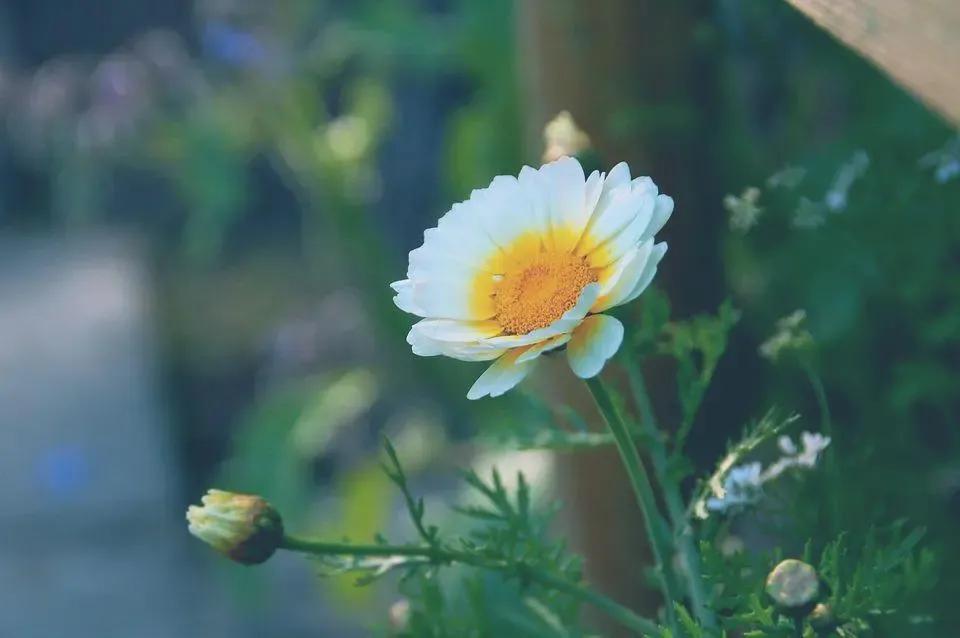 想要征服女人学会这三招才最有用,征服女人的4个诀窍