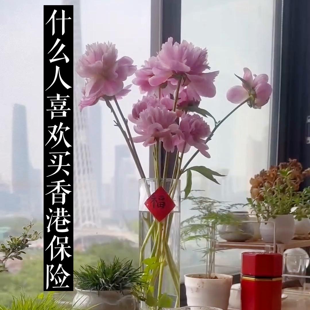 什么人需要购买保险,什么样的人适合买香港保险