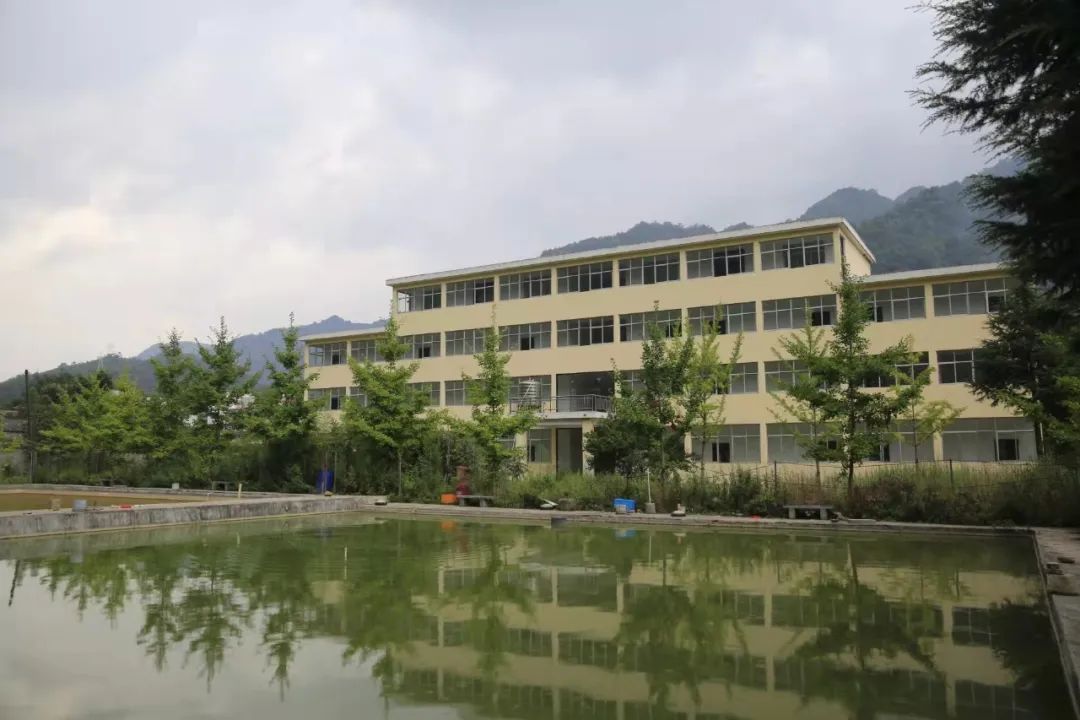 司法拍卖的房子能买吗,司法拍卖网