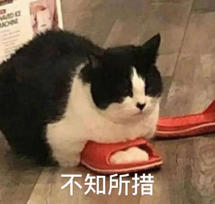 发错群信息怎么补救,信息发错群话术