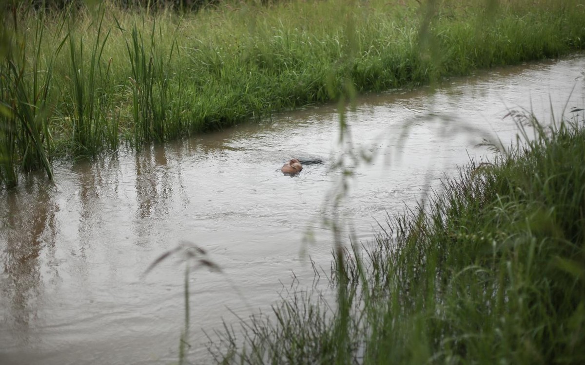 风景后AfterLandscape正在展出