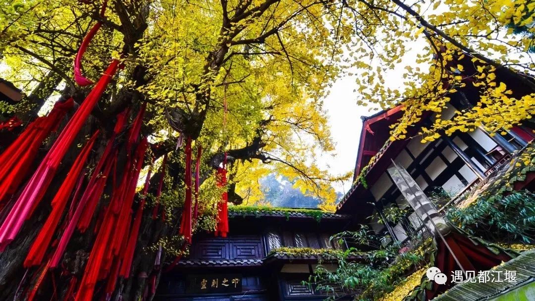 道教四大仙山你爬过几座,青城山为什么被称作道教第一山