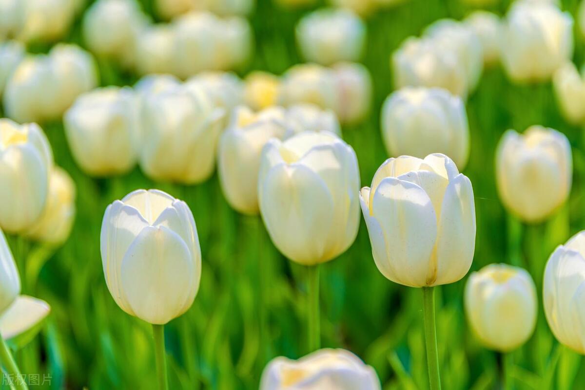 别人问你工资多少高情商回复,问你工资多少高情商回答