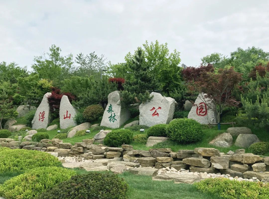 青岛浮山森林公园好玩吗,青岛浮山森林公园开放时间