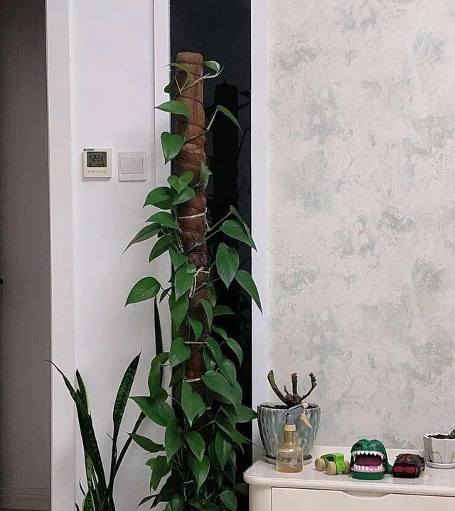 新房装修把空调开到热风去除甲醛,新房6个月甲醛超标怎么去除