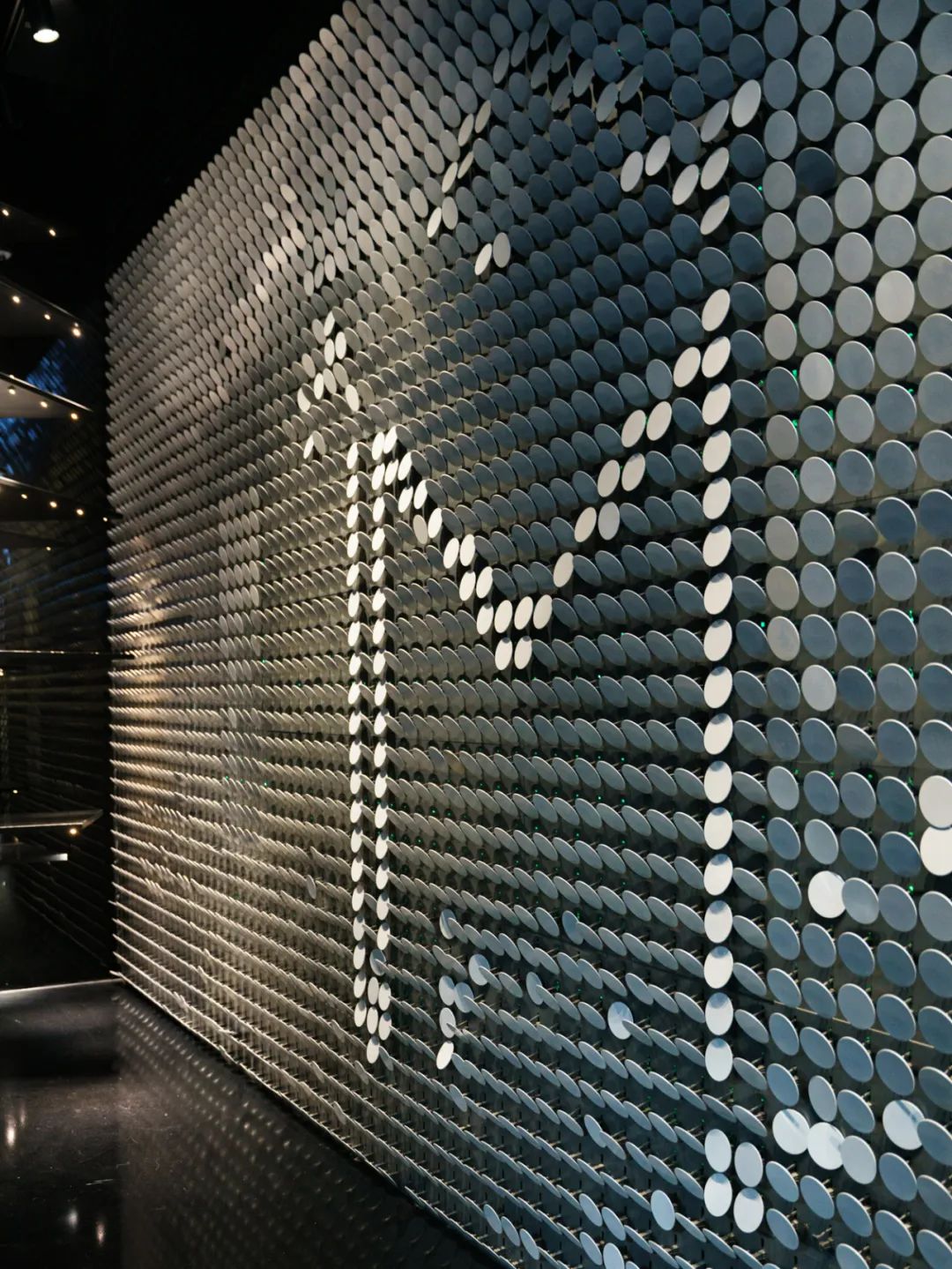 魔都自然博物馆,魔都的博物馆真的很有看头