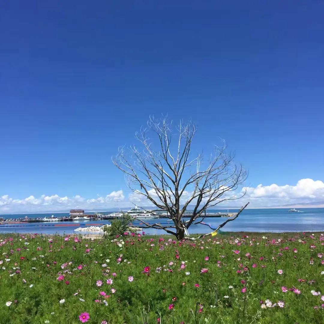 娑呮閲嶇敓璇绘硶,姊﹀埌娑呮閲嶇敓