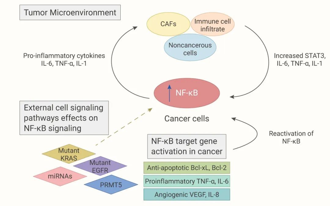 信号通路差异分析,常见的信号通路
